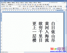 Word2003����θ������ַ���
